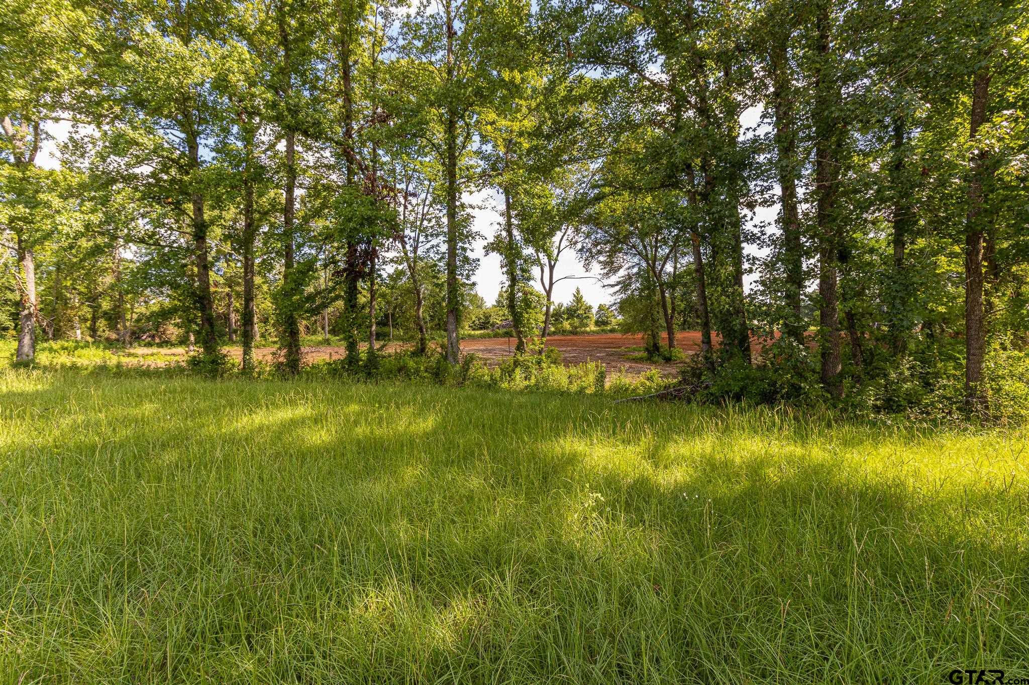 Land in Bullard 4