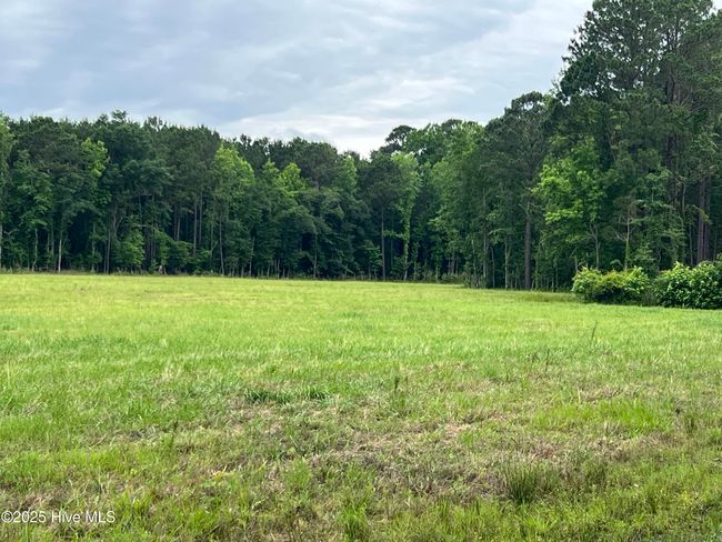 3330 Mccaskey Rd, Home with 0 bedrooms, 0 bathrooms and null parking in Williamston NC | Image 7