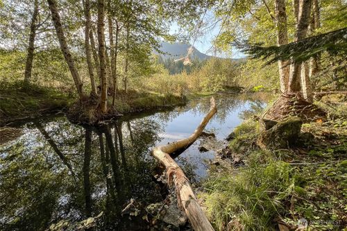 0 Rainbow Pl, Packwood, WA, 98361 | Card Image