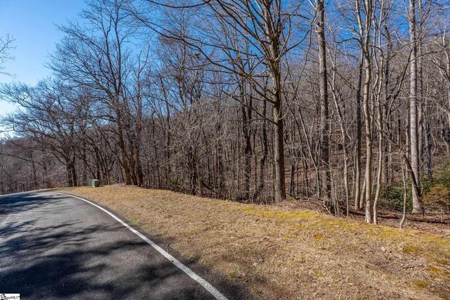 224 Southview Ledge Rd, Home with 0 bedrooms, 0 bathrooms and null parking in Landrum SC | Image 4