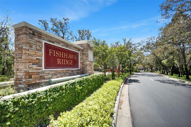 15787 Fishhawk Falls Dr, Townhouse with 2 bedrooms, 3 bathrooms and null parking in Lithia FL | Image 34