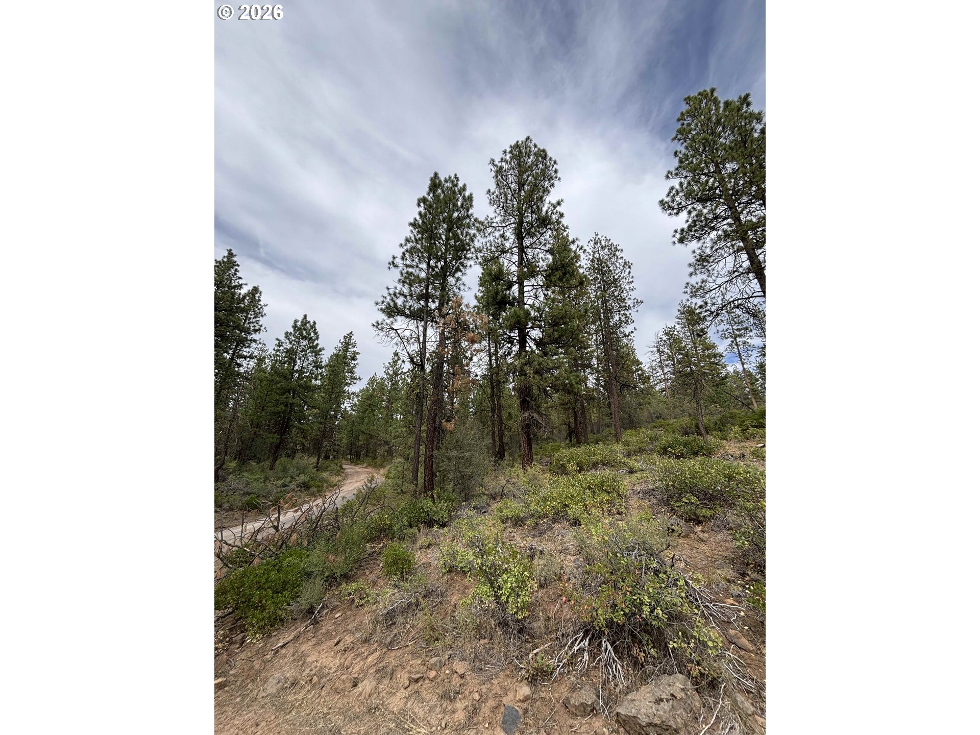 Land in Bonanza 2