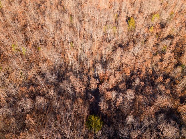 23 Acres002 | Image 4