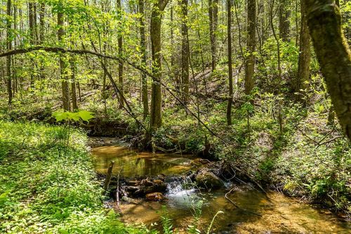 000 Burnt Mountain Rd, Ellijay, GA, 30536 | Card Image