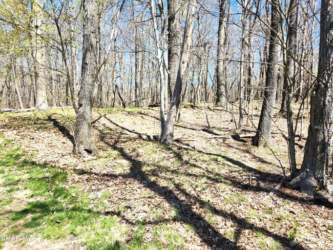 2299 Fleegle Rd, House other with 2 bedrooms, 2 bathrooms and null parking in Central City PA | Image 62