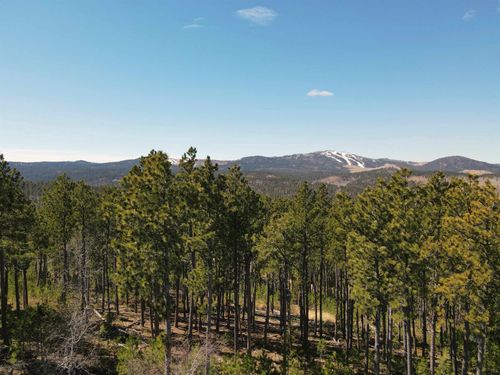 TBD Wasp Rd, Lead, SD, 57754 | Card Image