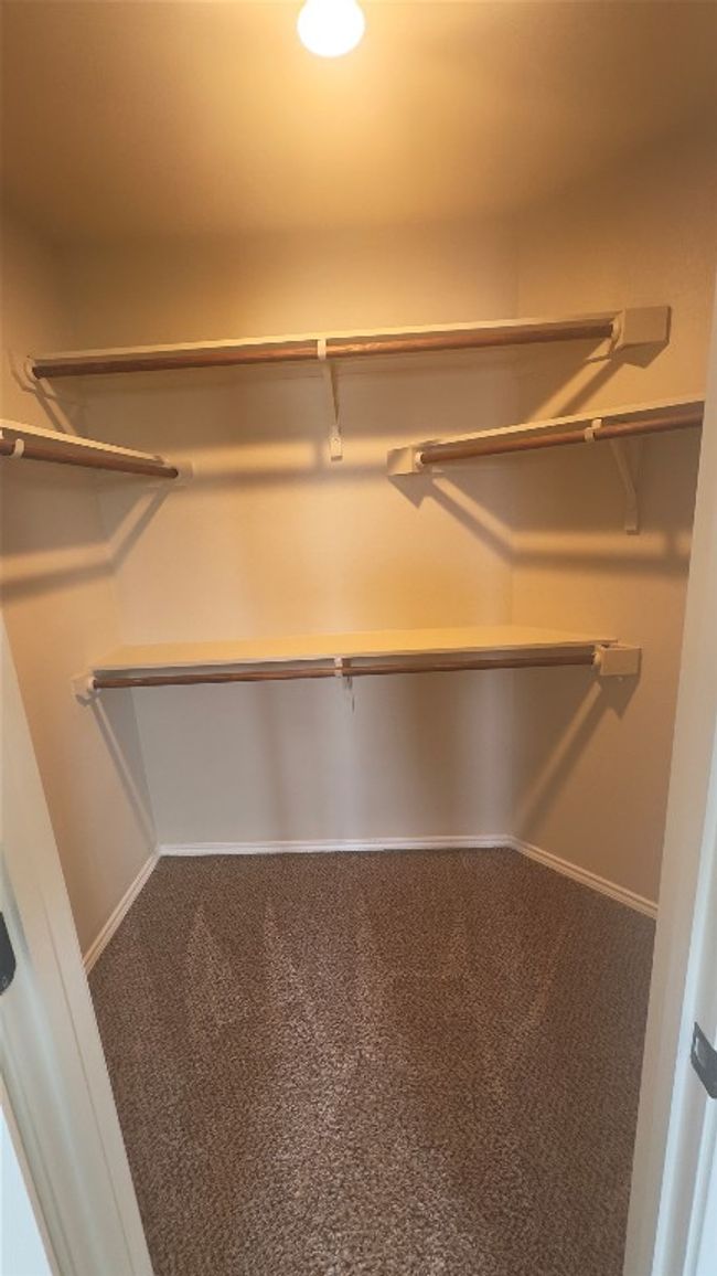 Spacious closet featuring carpet | Image 9