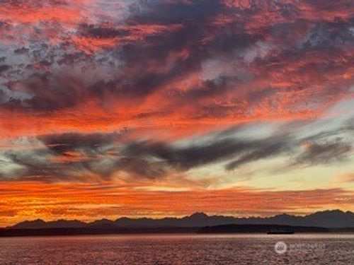 c8-10203 47th Ave Sw, Seattle, WA, 98146-1042 | Card Image