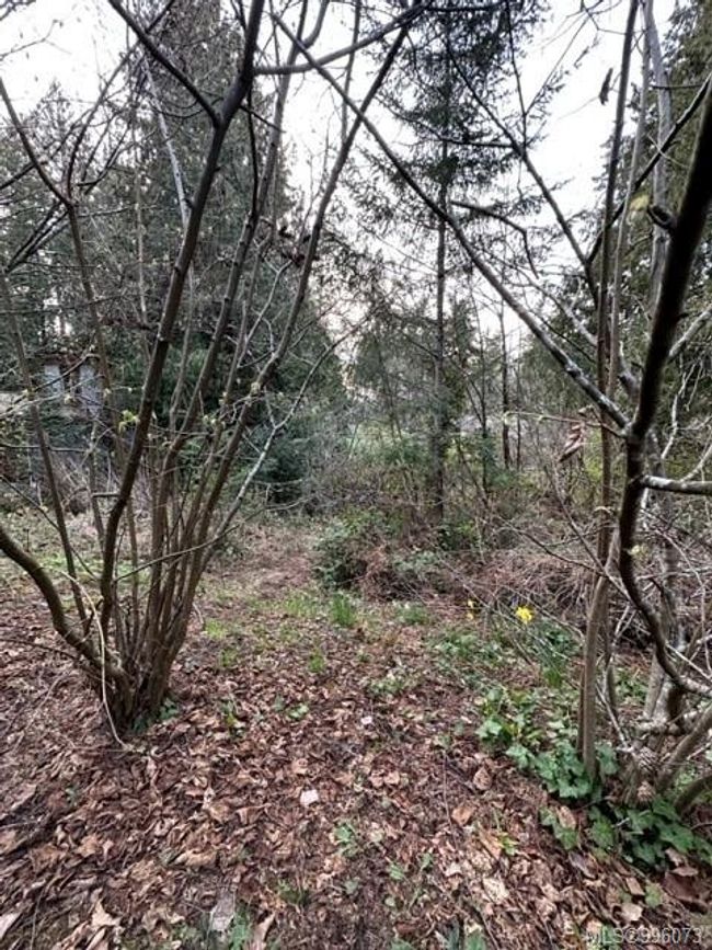 24 Captain Kidds Terr, Home with 0 bedrooms, 0 bathrooms and 1 parking in Nanaimo BC | Image 8