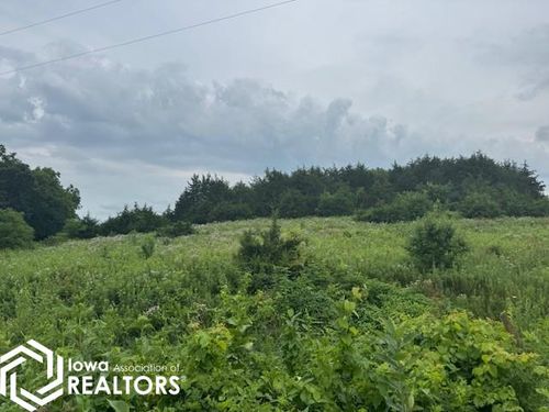 293rd Street Street, Bloomfield, IA, 52537 | Card Image