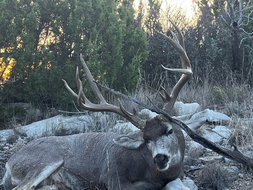 906 Cr 235, Aspermont, TX, 79502 | Card Image