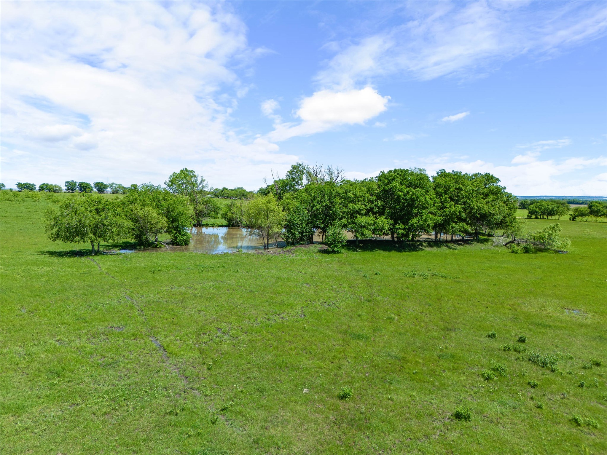 Commercial Sale in Mansfield 3
