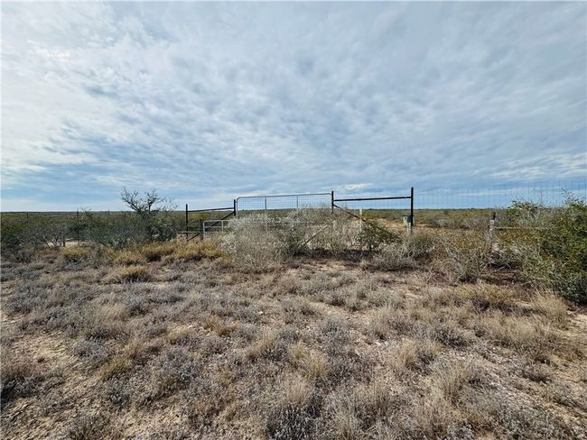 9156 Tx 339, Home with 0 bedrooms, 0 bathrooms and null parking in Freer TX | Image 24