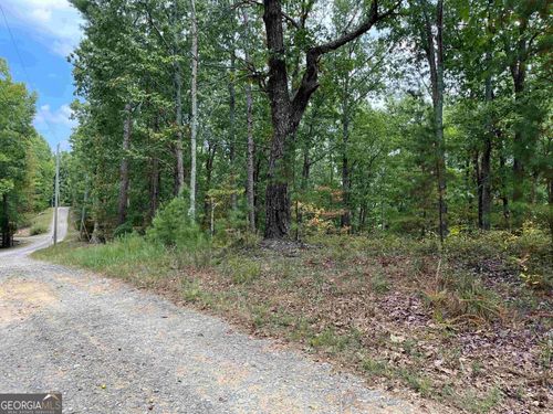 2-32 Antler Ct, Ranger, GA, 30734-0601 | Card Image