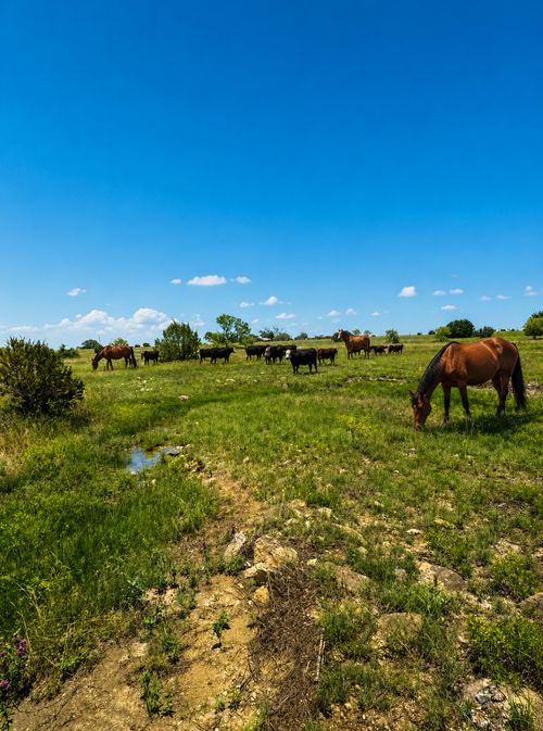 4220-LOT 24 Private Road, Hamilton, TX, 76531 | Card Image