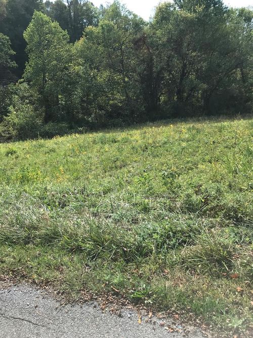 TBD Lot#40 Brooke Street, Chilhowie, VA, 24319 | Card Image