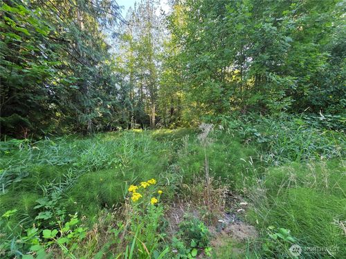 151 E Lakeshore Dr E, Shelton, WA, 98584 | Card Image