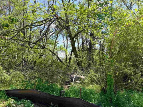 0 Florence Rd, Savannah, TN, 38372 | Card Image