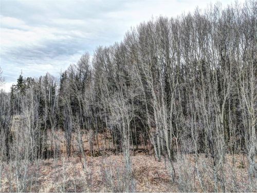 646 Antelope Way, COMO, CO, 80432 | Card Image