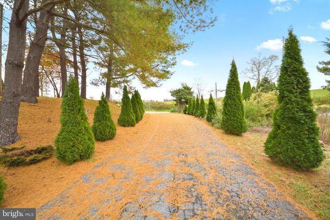 6502 Old Middletown Rd, House other with 3 bedrooms, 3 bathrooms and null parking in MIDDLETOWN MD | Image 59