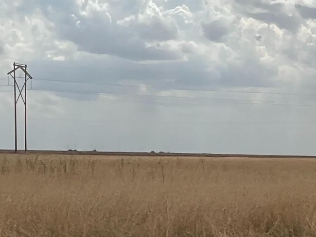 1711 State Highway 194, Home with 0 bedrooms, 0 bathrooms and null parking in Plainview TX | Image 5