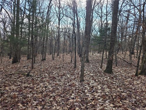 TBD Blue Mountain Rd, Prairie Grove, AR, 72753 | Card Image