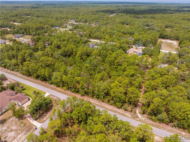 16240 Mount Sparrow Rd, Home with 0 bedrooms, 0 bathrooms and null parking in Weeki Wachee FL | Image 10