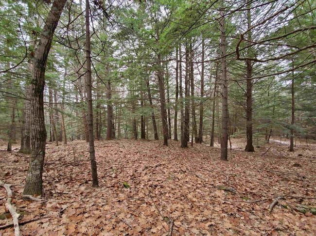 00 Berry Farms Rd, Home with 0 bedrooms, 0 bathrooms and null parking in Bristol NH | Image 24