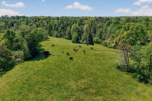 0 Corinth Church Rd, Smithville, TN, 37166 | Card Image