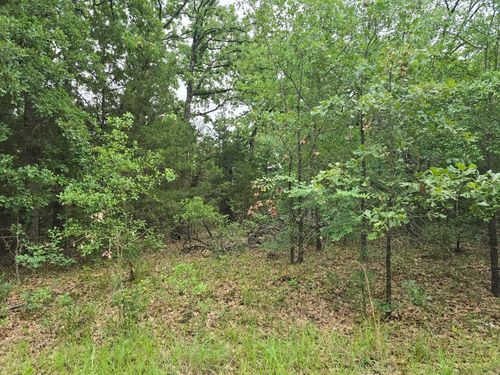 Lot 1007 Kickapoo Trl, Mabank, TX, 75156 | Card Image