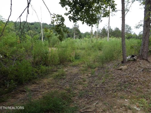 TBD Roy Thomas Lane, New Tazewell, TN, 37825 | Card Image