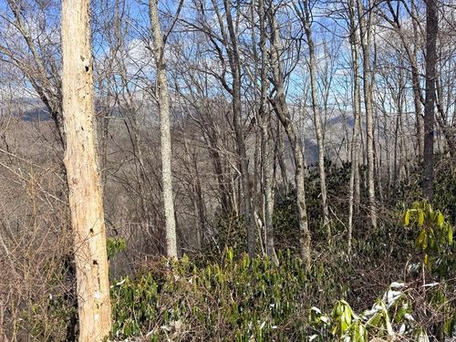 TBD Us Highway 19, Topton, NC, 28781 | Card Image