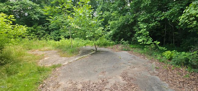 20240613_150854 | Image 9