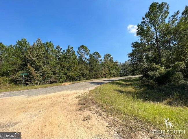 0 John S Horton Rd, Home with 0 bedrooms, 0 bathrooms and null parking in Adrian GA | Image 23