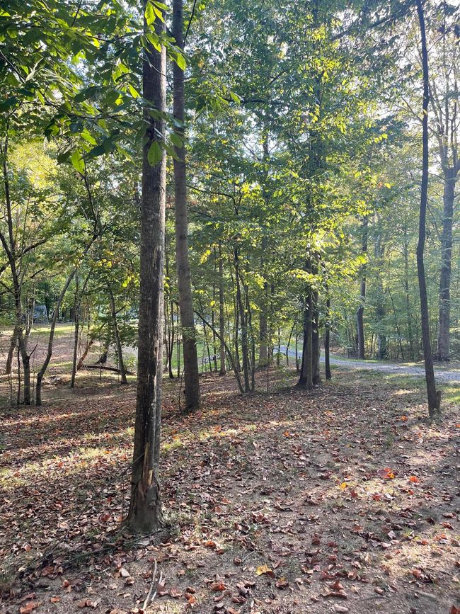 450 County Road 28, House other with 4 bedrooms, 3 bathrooms and null parking in Calhoun TN | Image 106