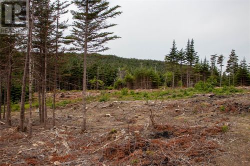 4 Birchy Pl, Bonavista, NL, A0C1B0 | Card Image