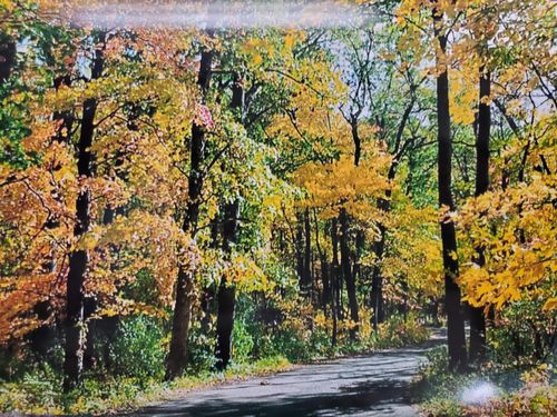 VL N Shore Dr, Delton, MI, 49046 | Card Image