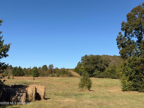 4 Sw Boundary Street, Holly Springs, MS, 38635 | Card Image