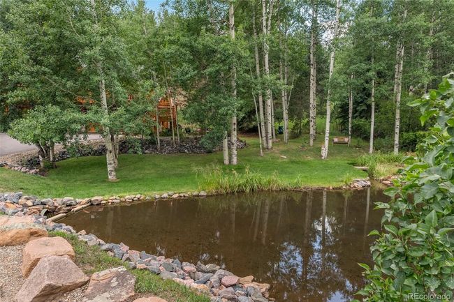 208 Brookside Dr, House other with 3 bedrooms, 2 bathrooms and 2 parking in Bailey CO | Image 10