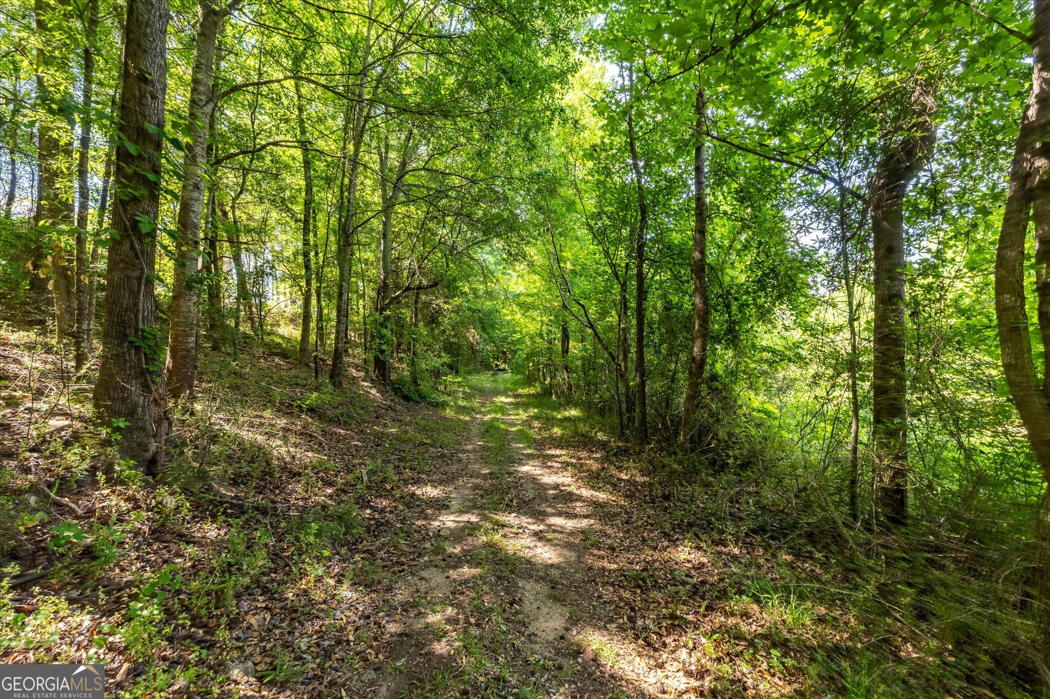 Land in Monroe 4