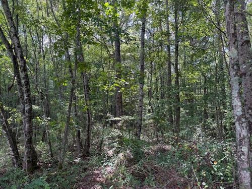 1936 Goforth Rd, Morrison, TN, 37357-3291 | Card Image