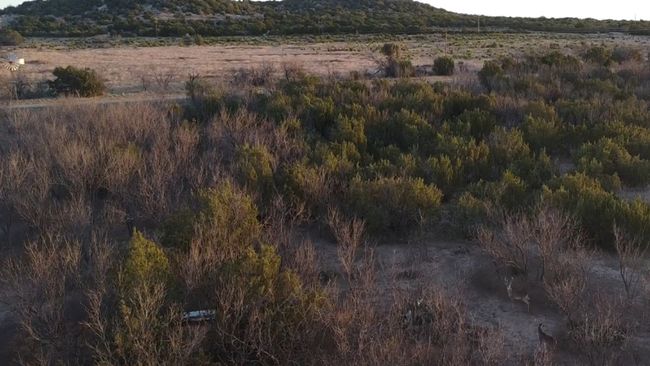 3609 Fm 1086, Home with 0 bedrooms, 0 bathrooms and null parking in Ovalo TX | Image 40