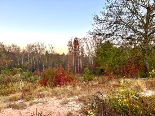 2652 New Hope Cir, Hephzibah, GA, 30815-4019 | Card Image