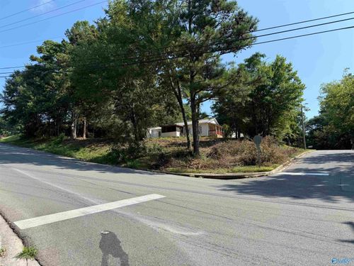Lot 34 Rayburn Ave, Guntersville, AL, 35976 | Card Image