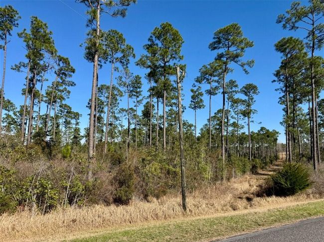 0 Robert White Rd, Home with 0 bedrooms, 0 bathrooms and null parking in Bay Minette AL | Image 22