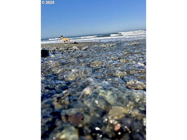 4 - 000 Old Coast Hwy, Home with 0 bedrooms, 0 bathrooms and null parking in Gold Beach OR | Image 21