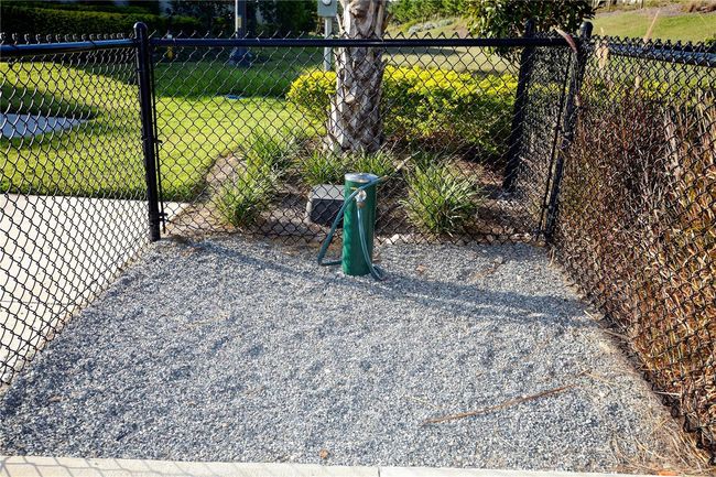 Esplanade Dog Park Clean Up Area | Image 69