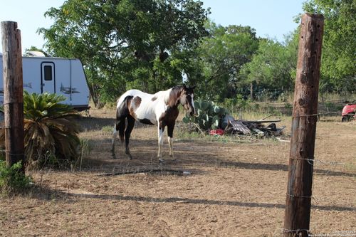 unit-1-760-1 N Graytown Rd, Saint Hedwig, TX, 78152-8318 | Card Image