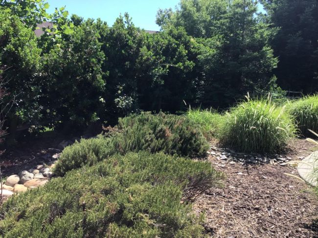 205 Quail Meadow Ln, House other with 3 bedrooms, 3 bathrooms and 5 parking in Copperopolis CA | Image 28