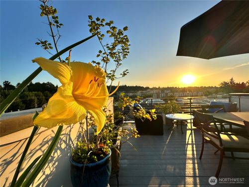 b-3638 Courtland Pl S, Seattle, WA, 98144-7115 | Card Image